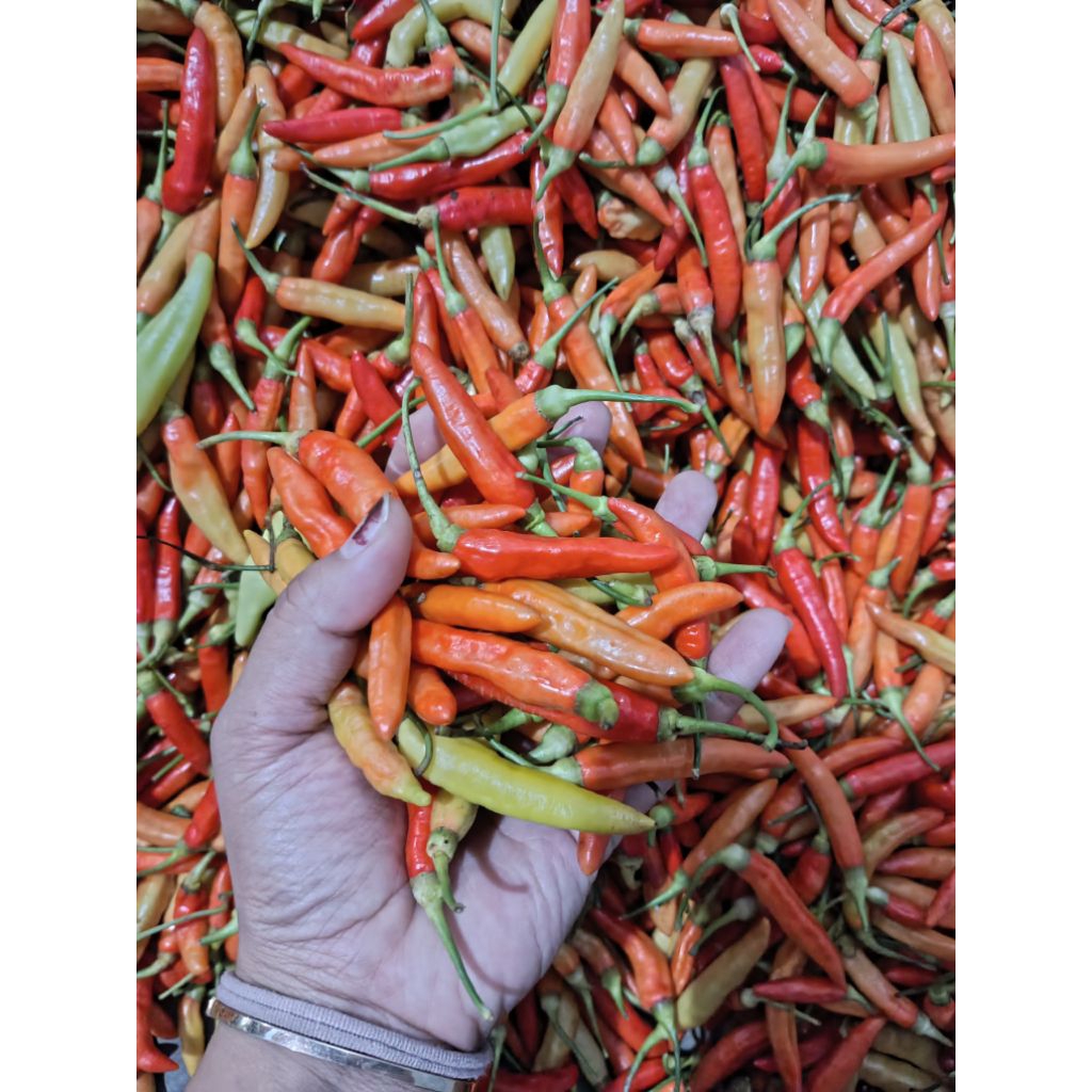 

Cabe Rawit/ Cabai Rawit Murah 500g 250g 100g