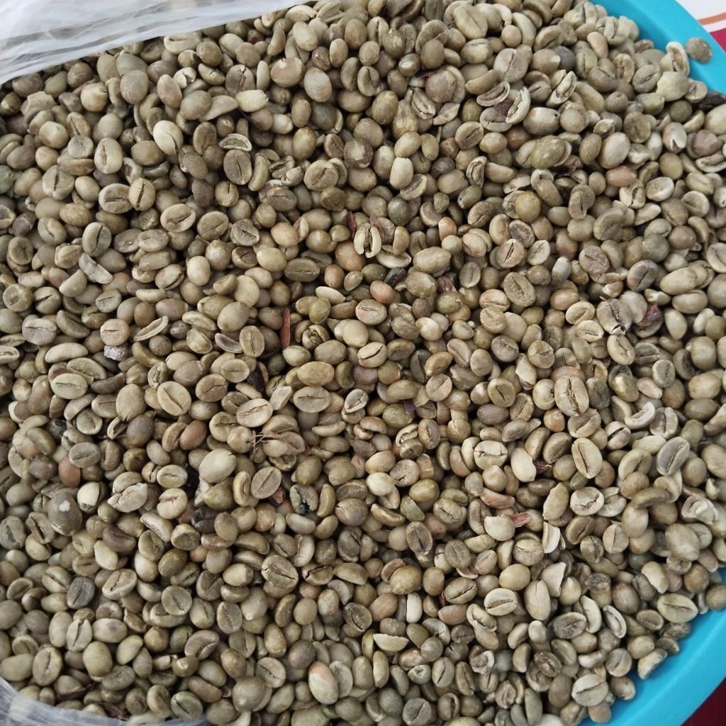 

kopi asli gunung kawi
