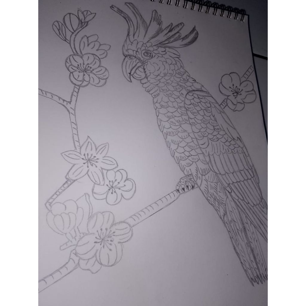 

Jasa gambar request semua jenis gambar bebas