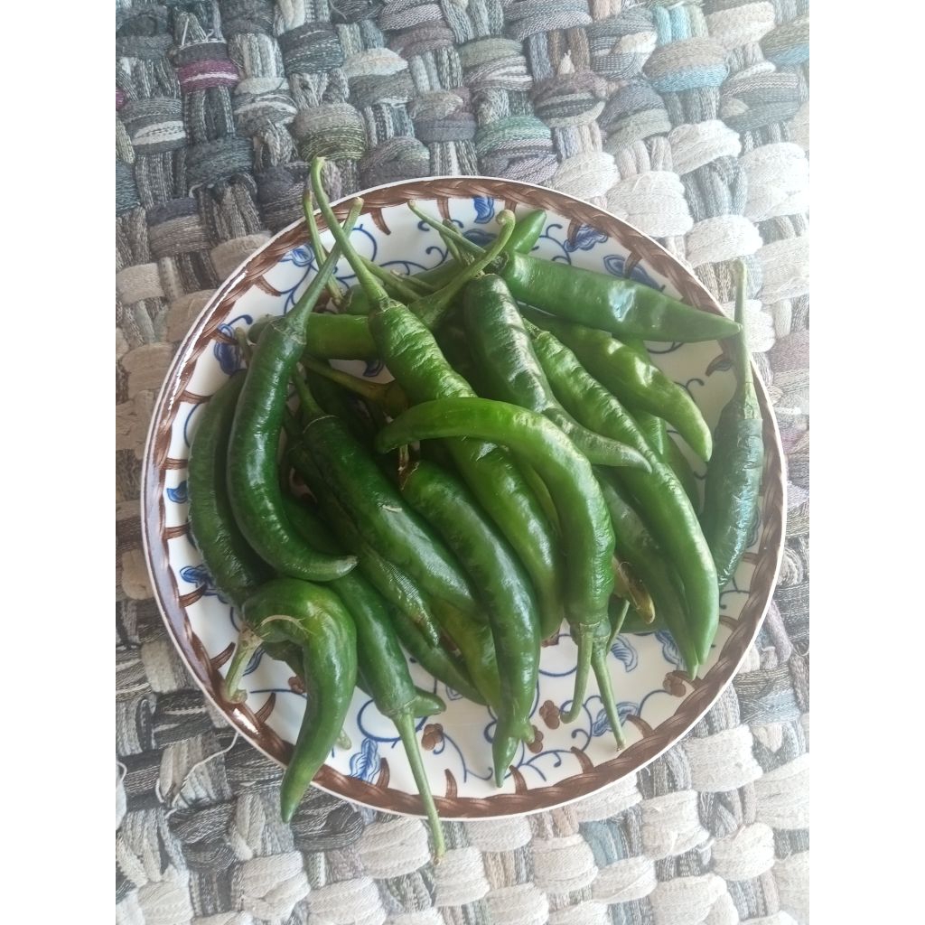 

Cabe Hijau Besar Cabai Lombok Segar Fresh Kiloan 1/4 kg 250gr - Aneka Bumbu Dapur