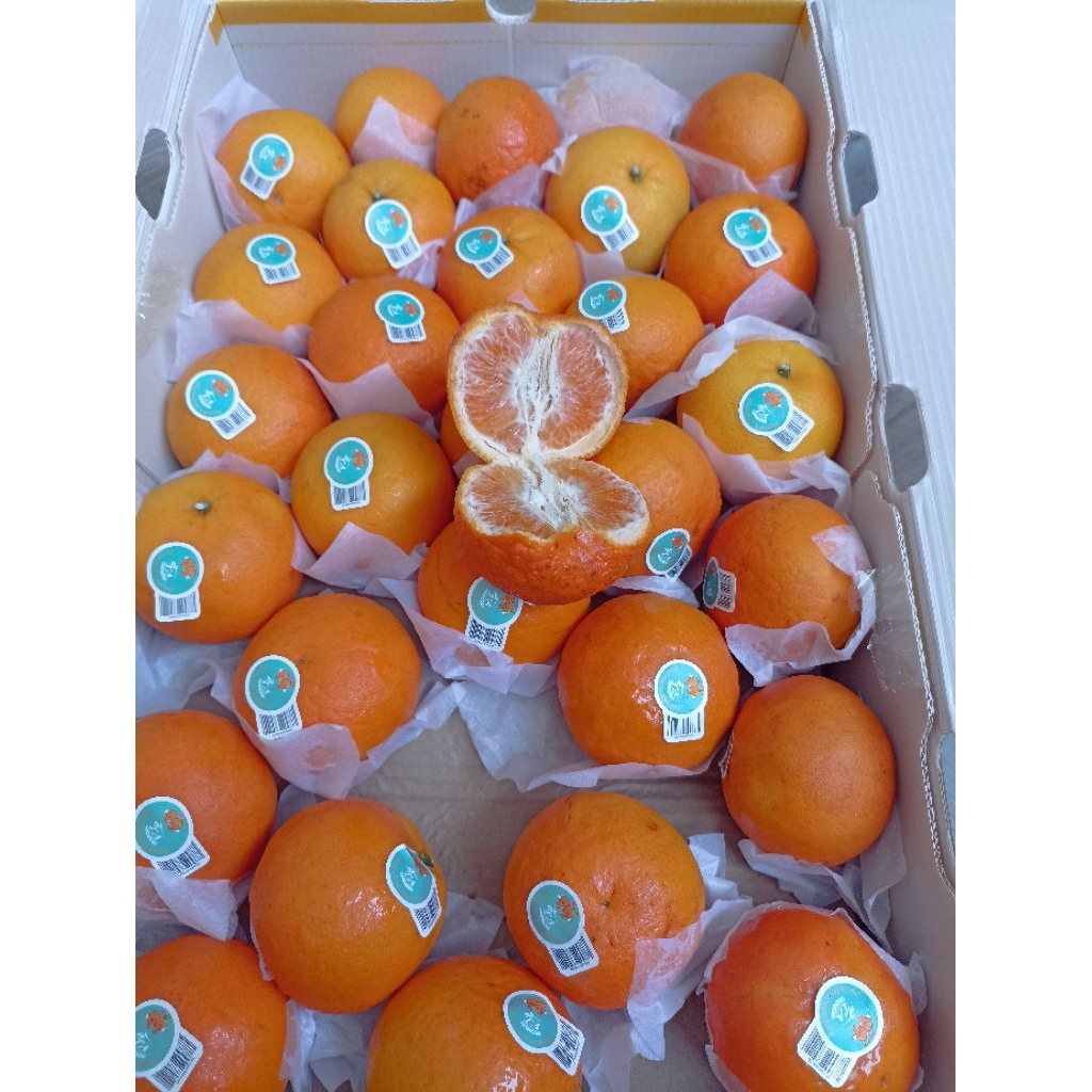 

Jeruk Mandarin / Wokam Wogan 1kg import Manis - Wokam 1kg