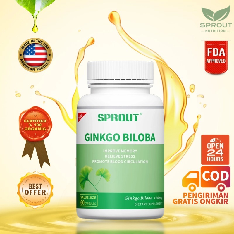 Ginkgo Biloba Ekstrak Daun Ginkgo 120mg, Perbaiki Memori, Relaksasi Stress, Peredaran Darah Optimal