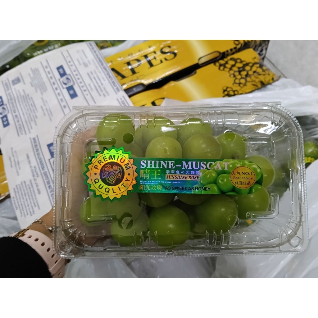 

BUAH ANGGUR SHINE MUSCAT