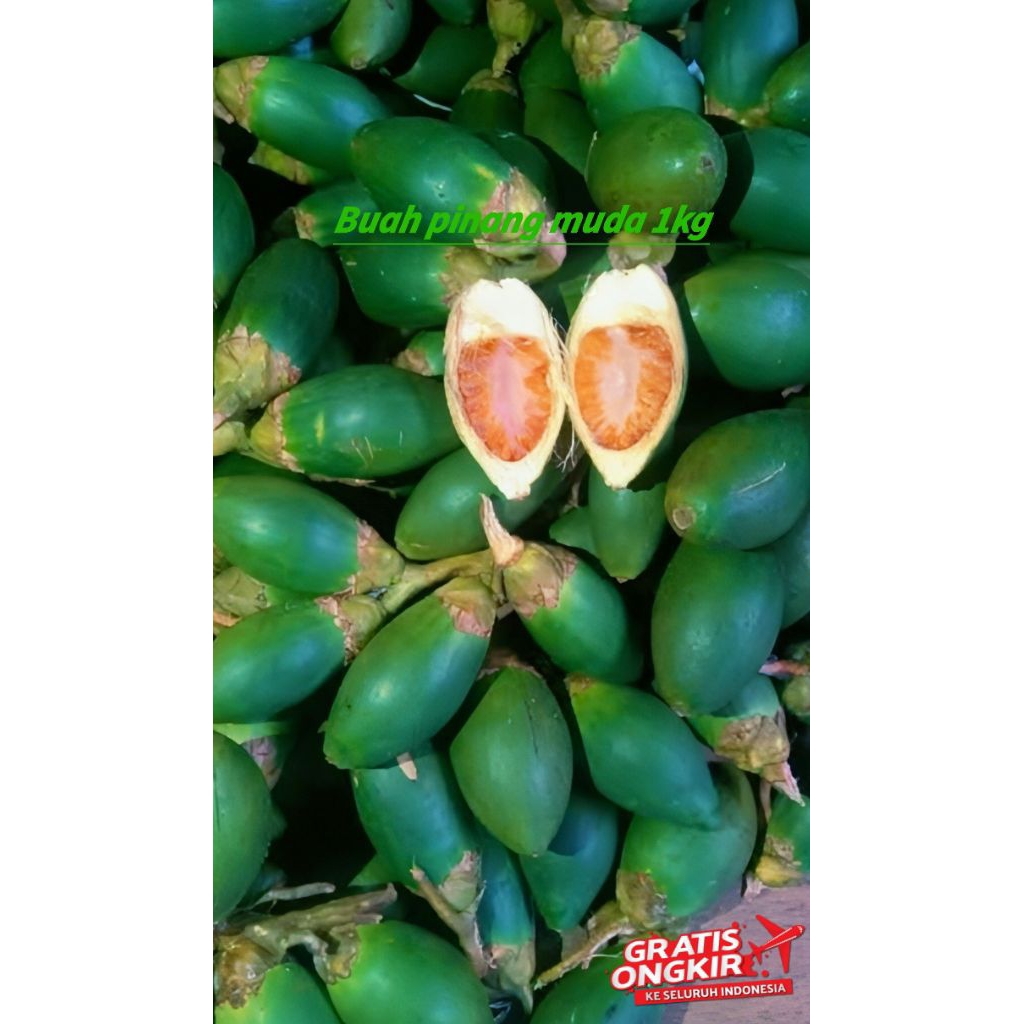 

buah pinang muda 1 kg press obat herbal