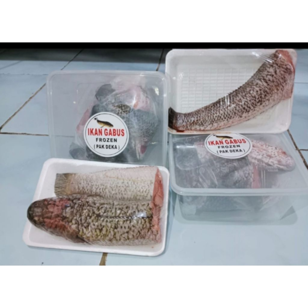 

Menjual Ikan Gabus Hidup & Frozen Dan Ikan jenis Lainnya