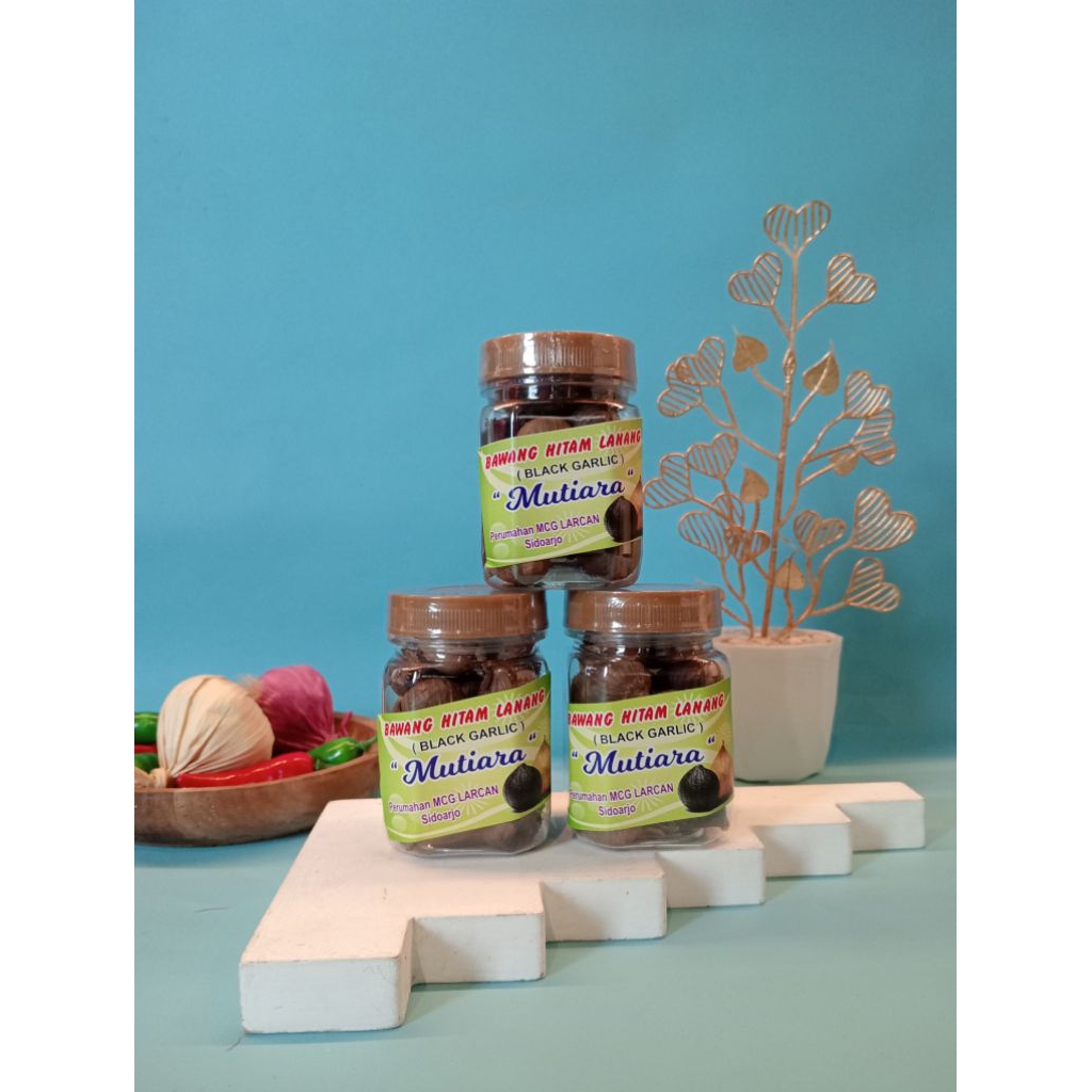 

BLACK GARLIC Bawang Hitam Lanang untuk kesehatan