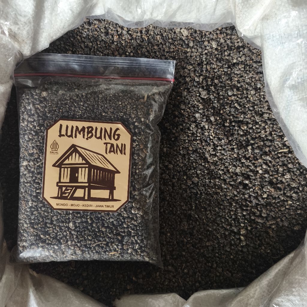 

Beras Tiwul Kering 500gr Oyek Singkong Makanan Sehat | Makanan Tradisional Lumbung Tani