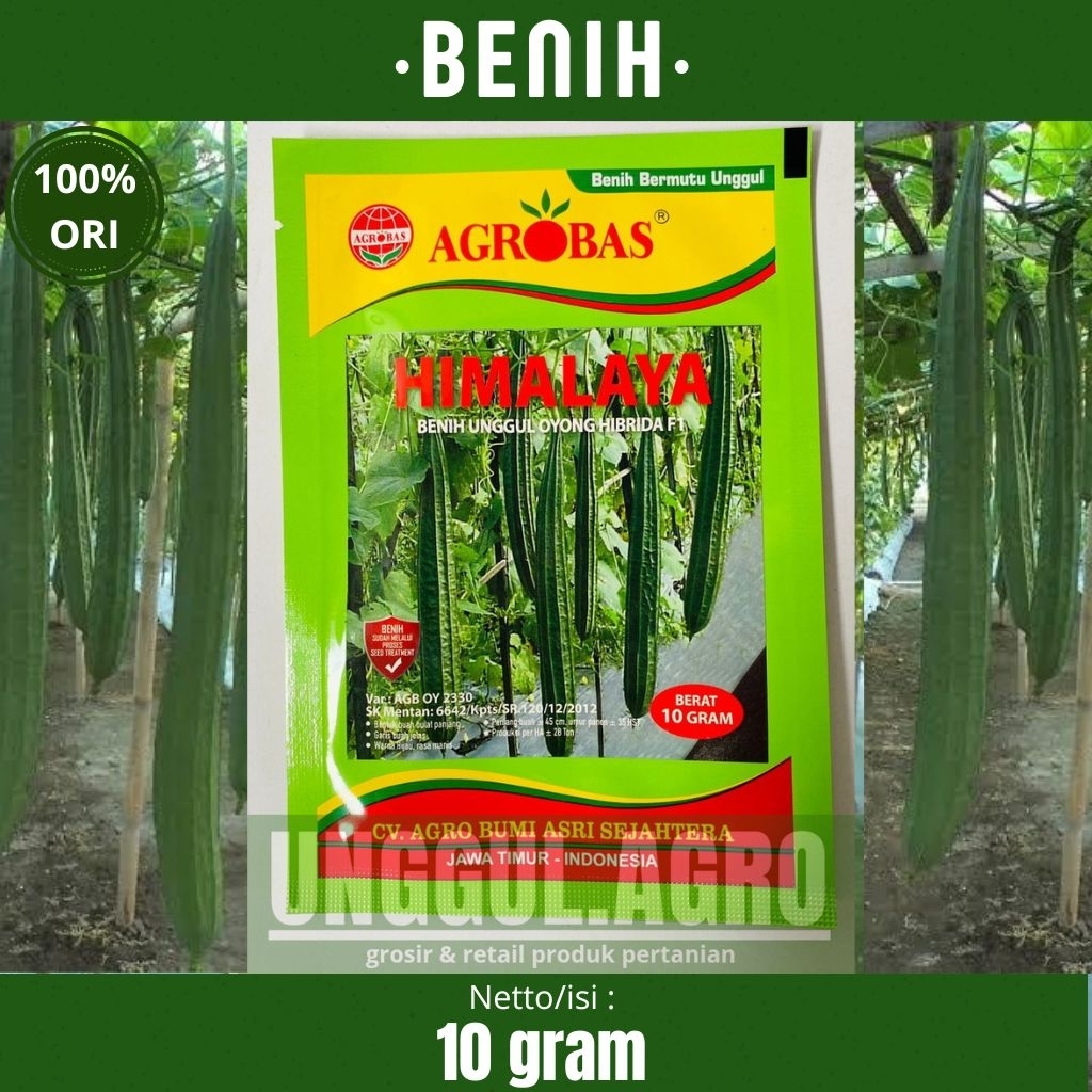 Benih gambas oyong HIMALAYA 10gram tahan virus dari agrobas