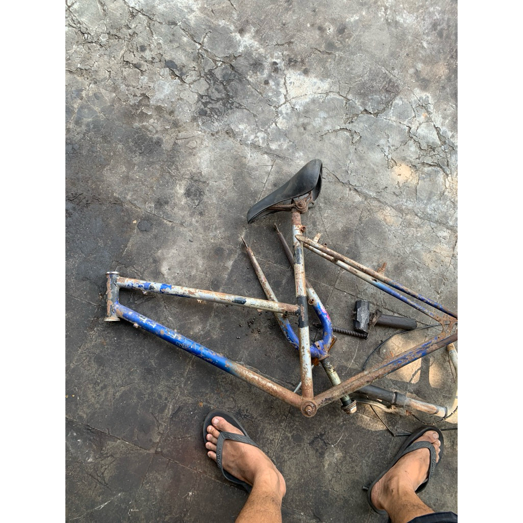 frame sepeda federal lady
