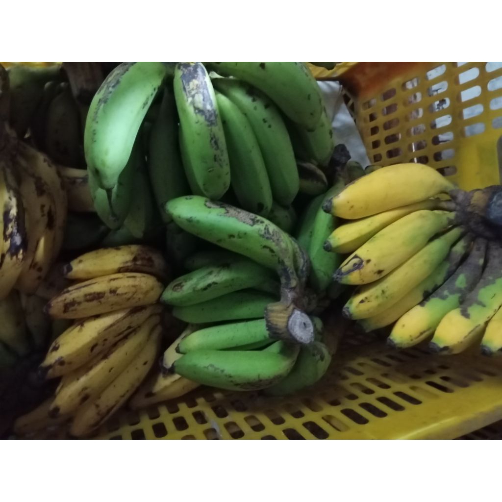 

pisang uli pisang bangka 1 sisir