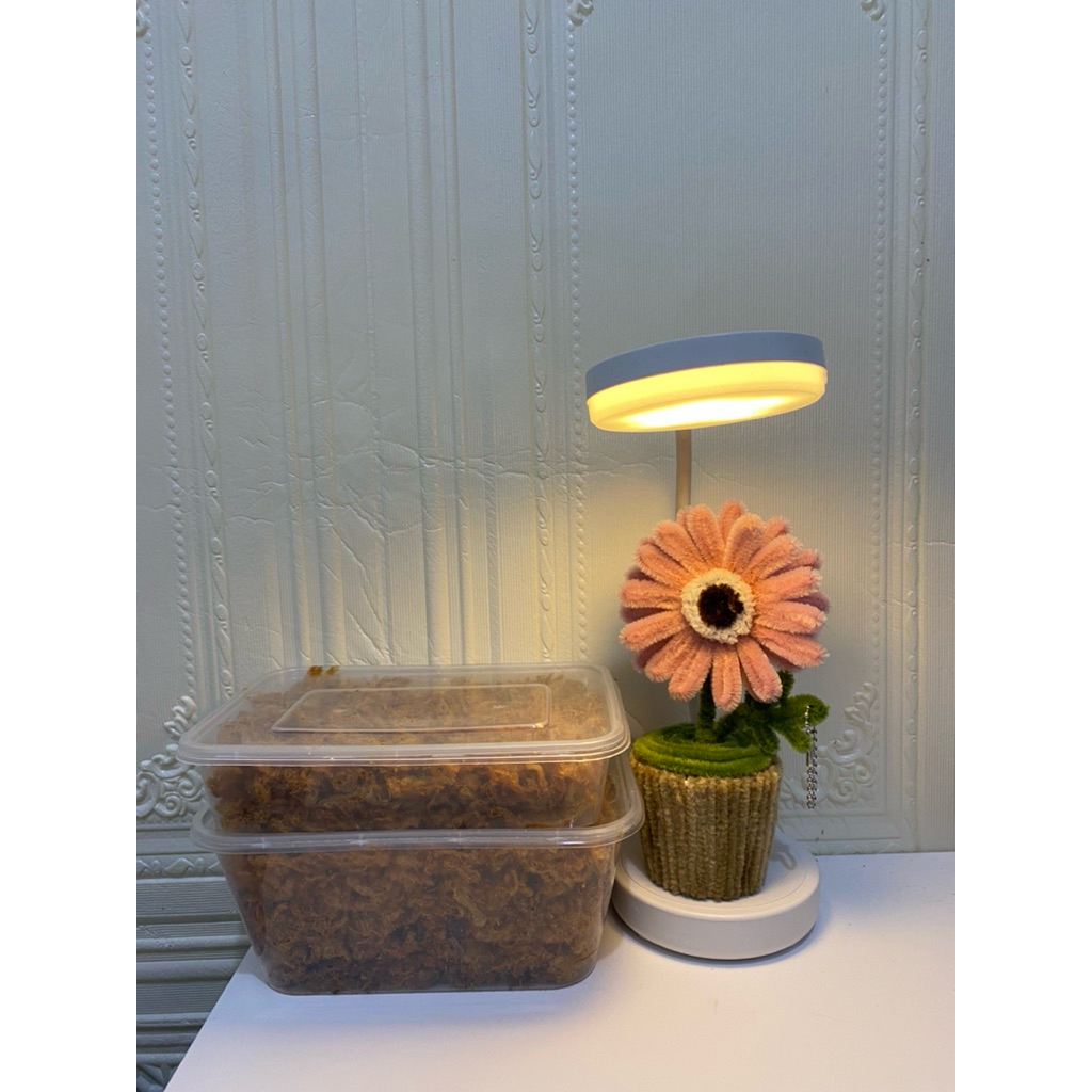 

Abon ayam Spesial Ma Anih