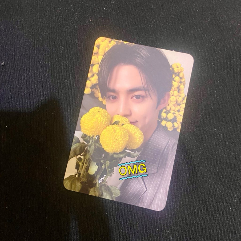 SCOUPS Your Choice Seventeen Photocard