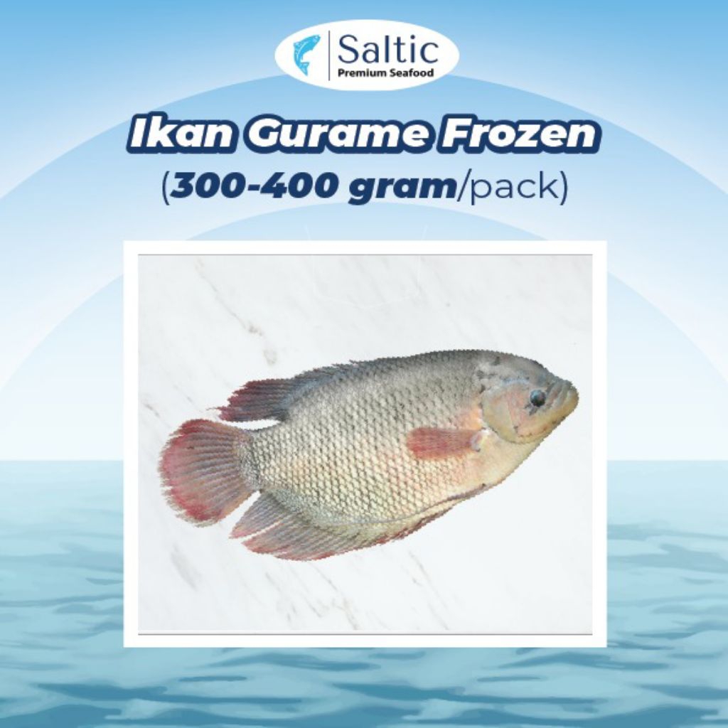 

Ikan Gurame Berat 300-400gr Perut nya sudah bersih siap di masak Halal Premium HACCP Teruji Lab