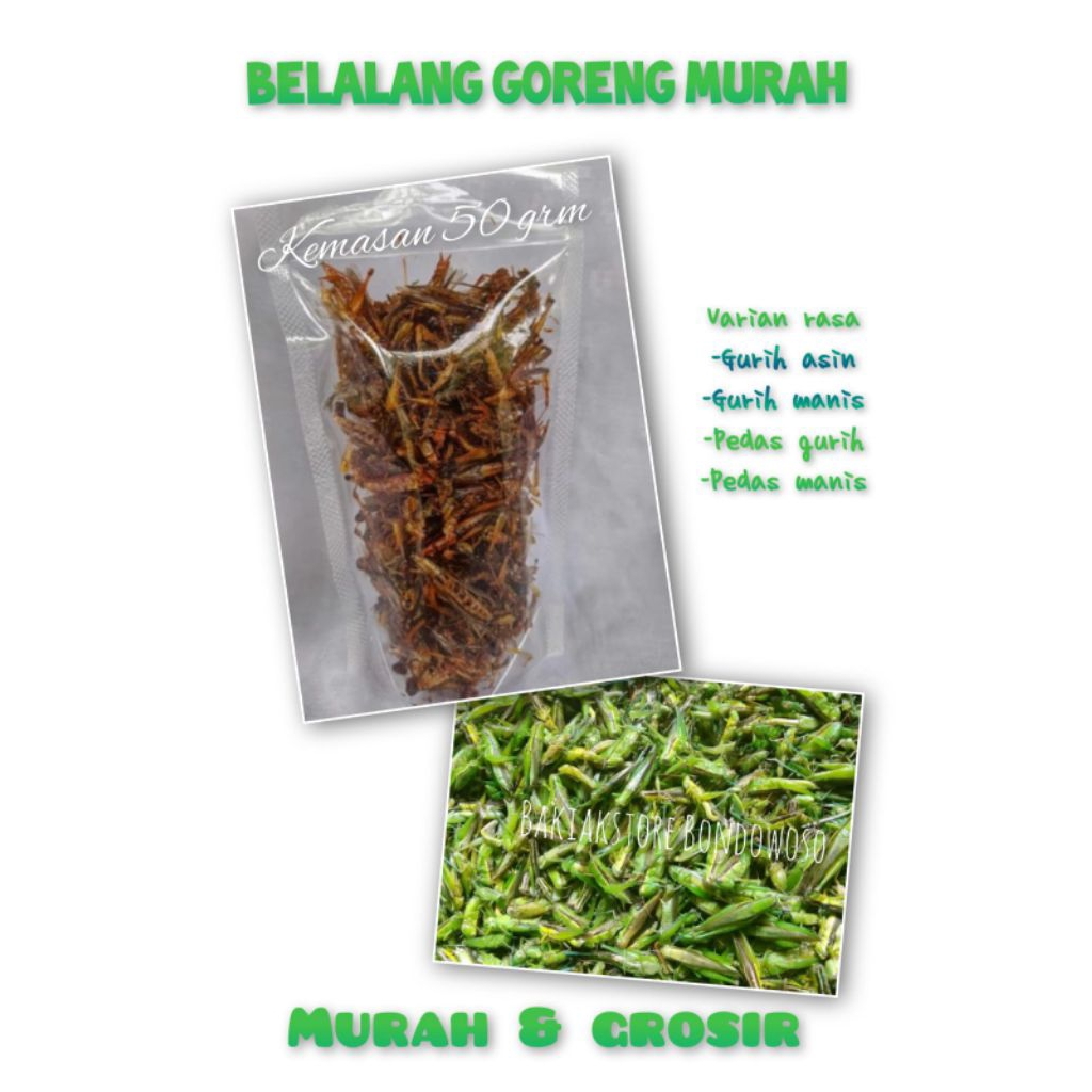 

walang goreng kemasan 250.grm belalang goreng renyah belalang kecil belalang sawah grosir