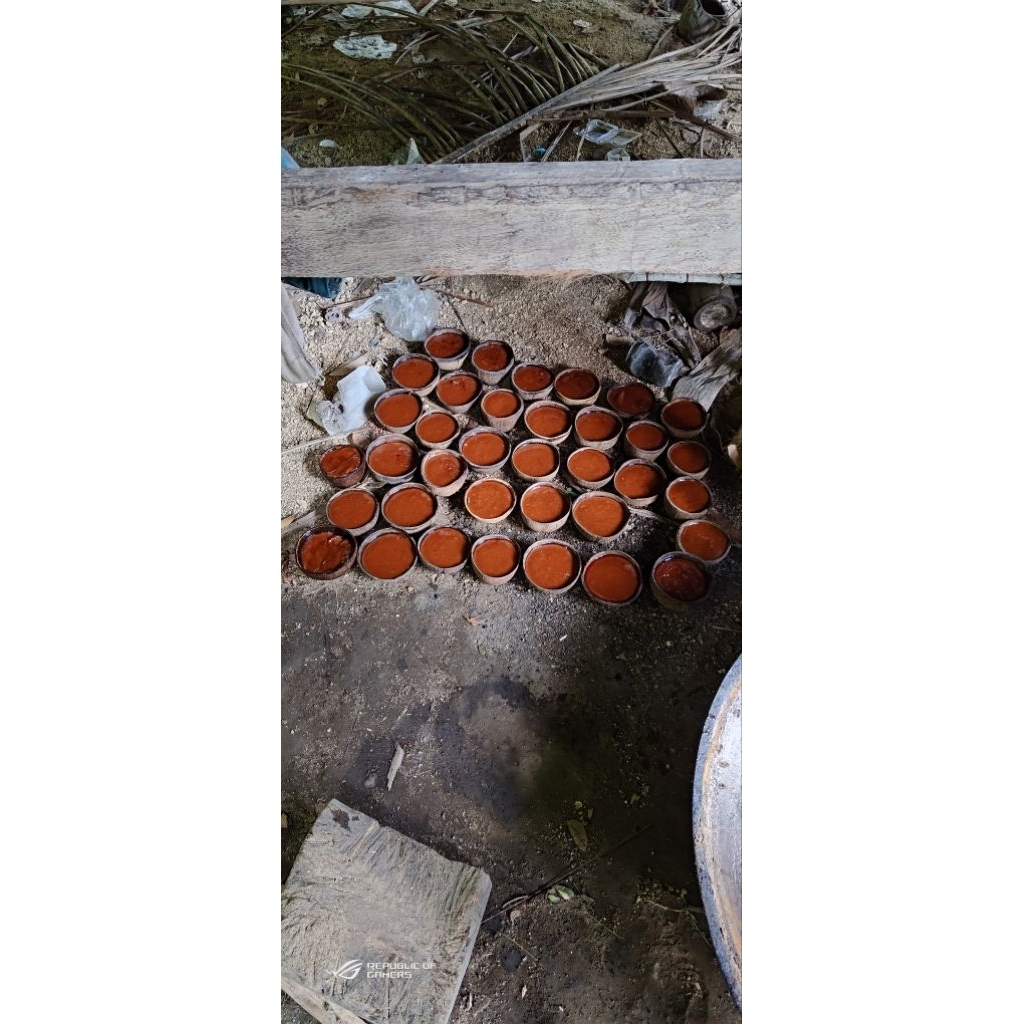 

Gula Merah Asli Lombok Dari Aren