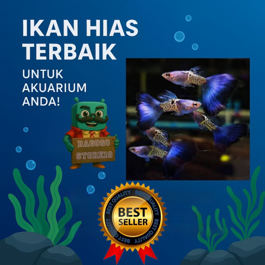 guppy mssbt 1 pasang metal snack skin blue tail