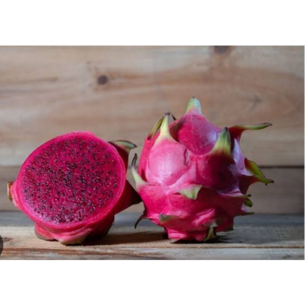 

buah naga merah manis 1kg