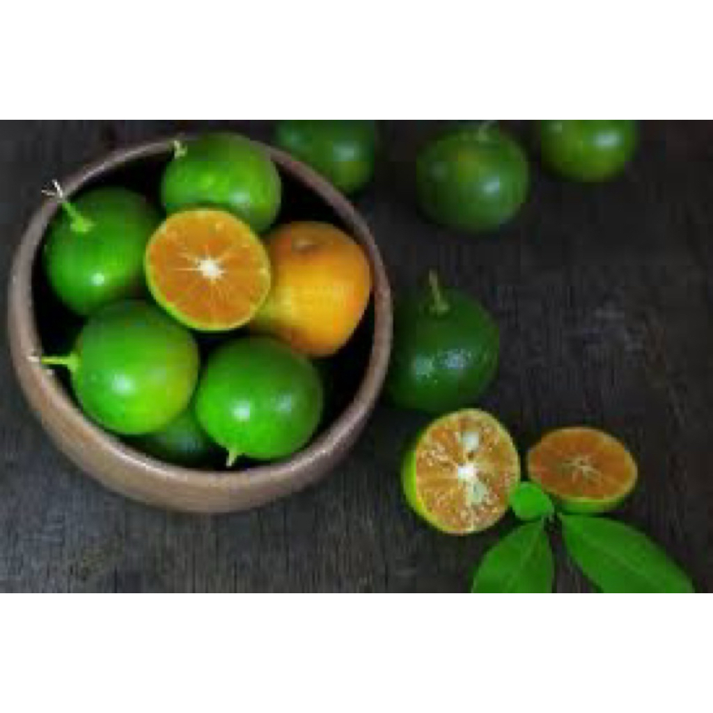 

Jeruk kunci Segar - 36 FRESH PALEMBANG