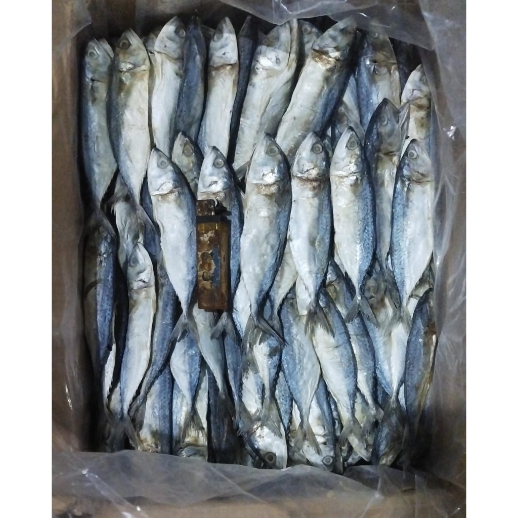 

500gram IKAN ASIN PEDA PUTIH KUALITAS PREMIUM STOCK TERBARU