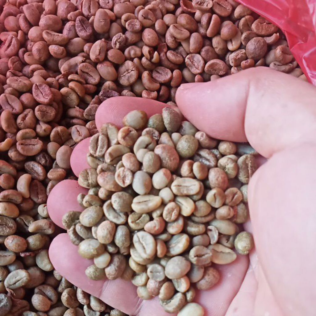 

robusta kopi 1kg