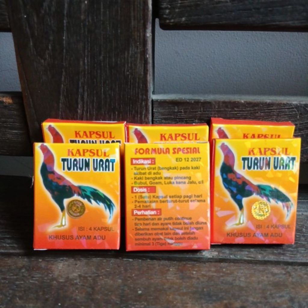 KAPSUL TURUN URAT FORMULA spesial ayam adu