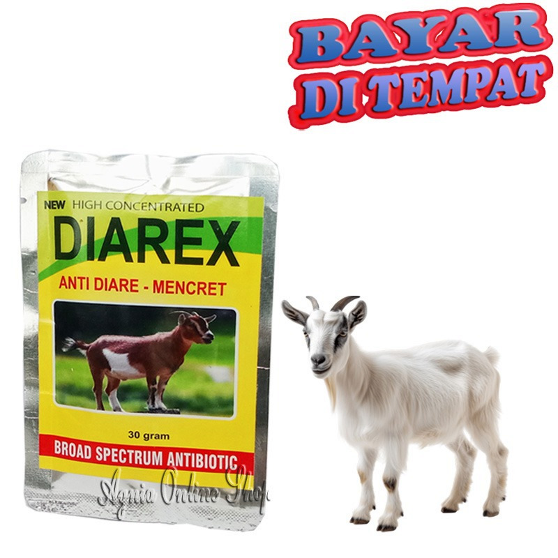 Obat Mencret Kambing Domba DIAREX Sakit Diare Kembung Pencernaan