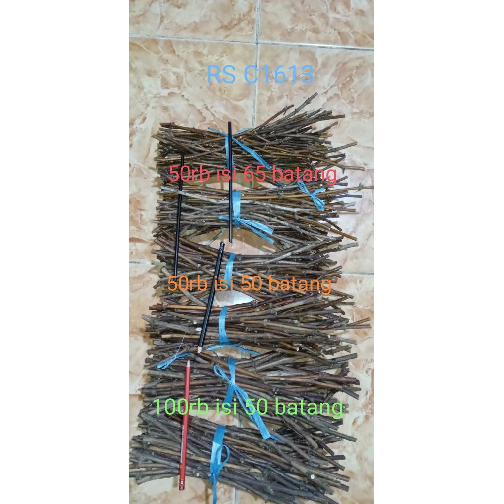 rostock anggur c1613