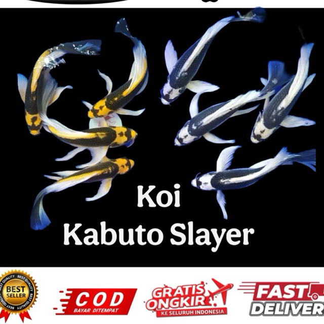 hiasan aquarium koi kabuto slayer