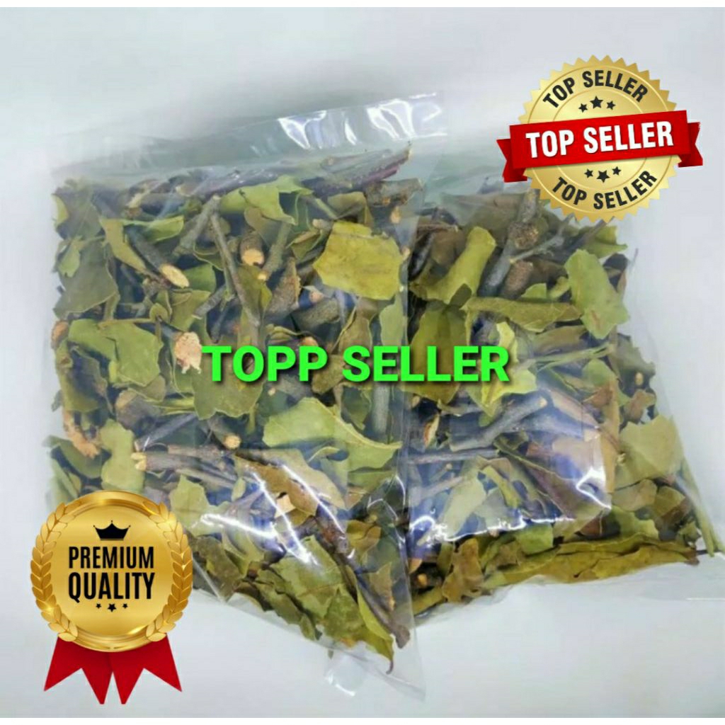 

Benalu Kopi 1000 Gram ranting dan daun Kwalitas Terbaik