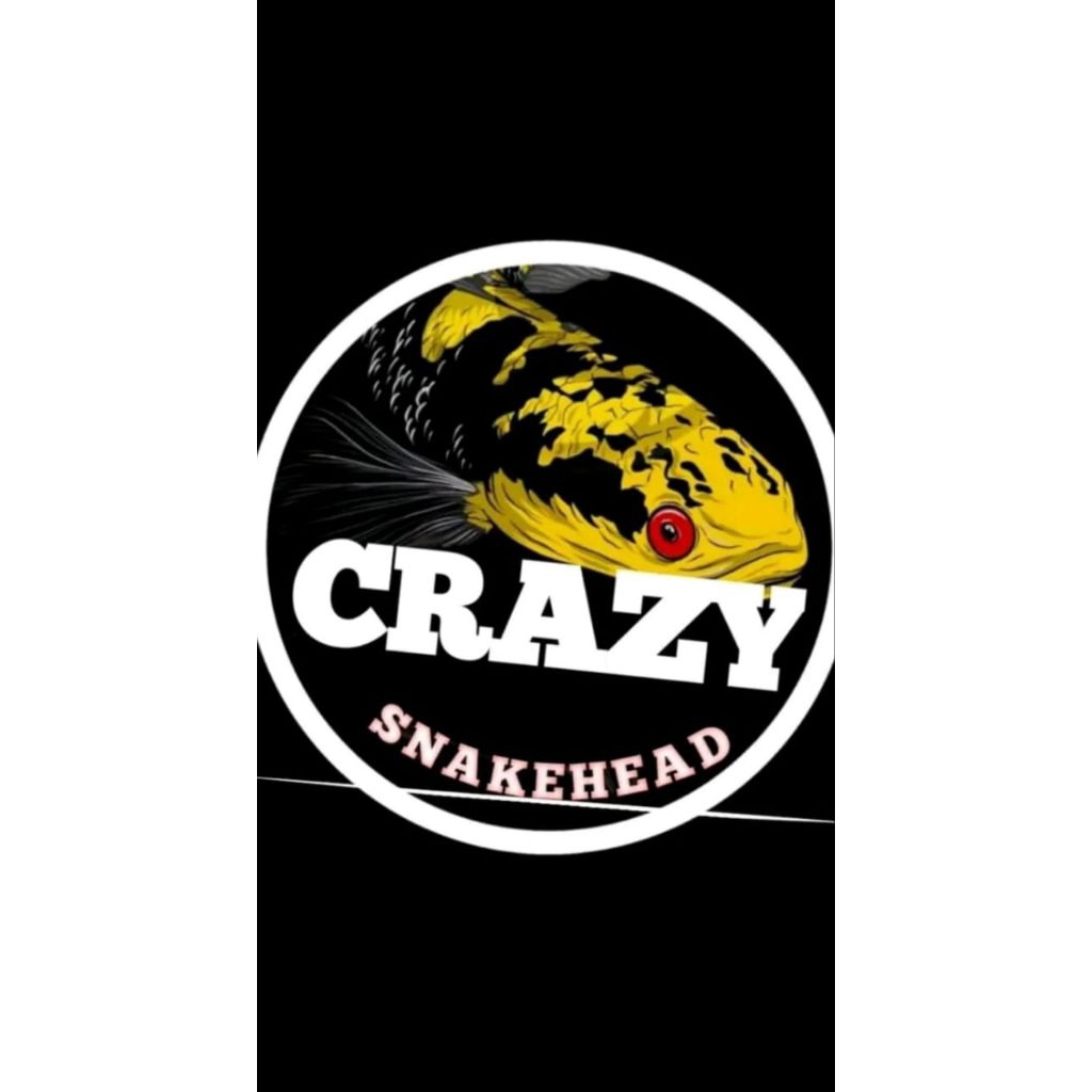 Setiker Channa Auranti 14-16cm