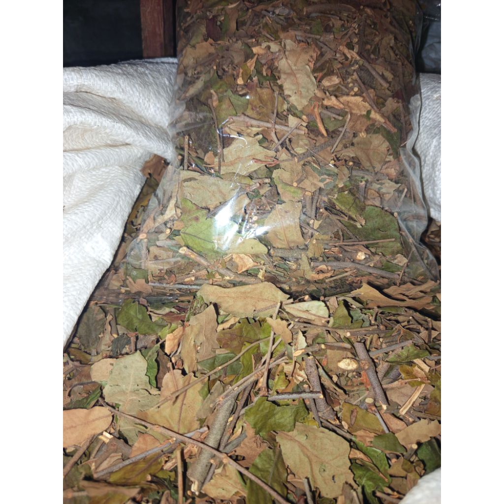 

Jual Benalu kering berkualitas 1kg