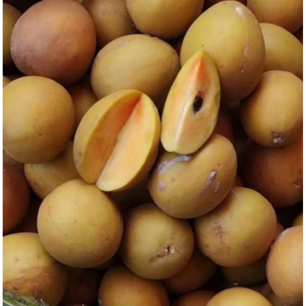 

Buah Sawo Manila Sawo Manis 1kg