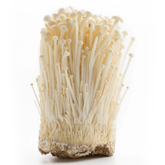 

Enoki Astro / Jamur Enoki Astro / Enoki Segar / Jamur Enoki Segar / 5 Kg / Box