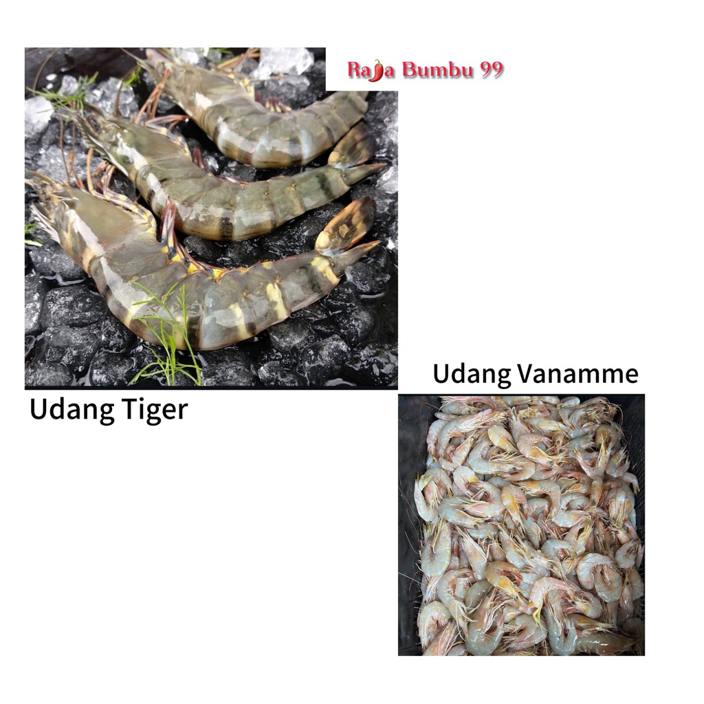

Udang Segar Tiger , Vanamme