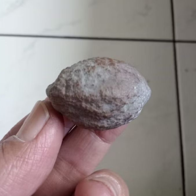 Kemiri Adu Muncang Adu Obral Jayanti Gogog Ori Apkiran Bentuk Lepak/Jelek