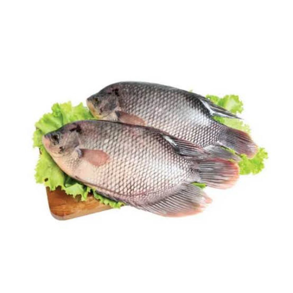 

Ikan Gurami / Gurame fresh 1kg