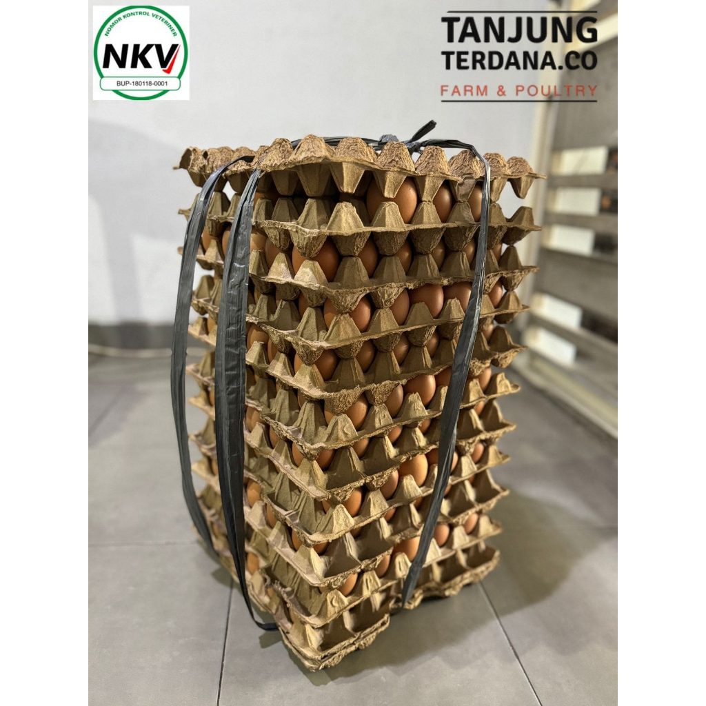 

FRESH EGGS 20 Kg - 1 Ikat, Telur Ayam Negeri Grade AA - A Hasil Peternakan Sendiri