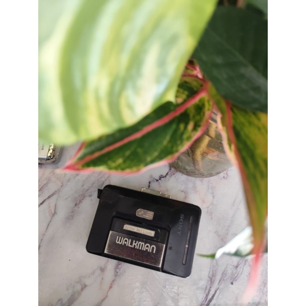 Walkman Sony