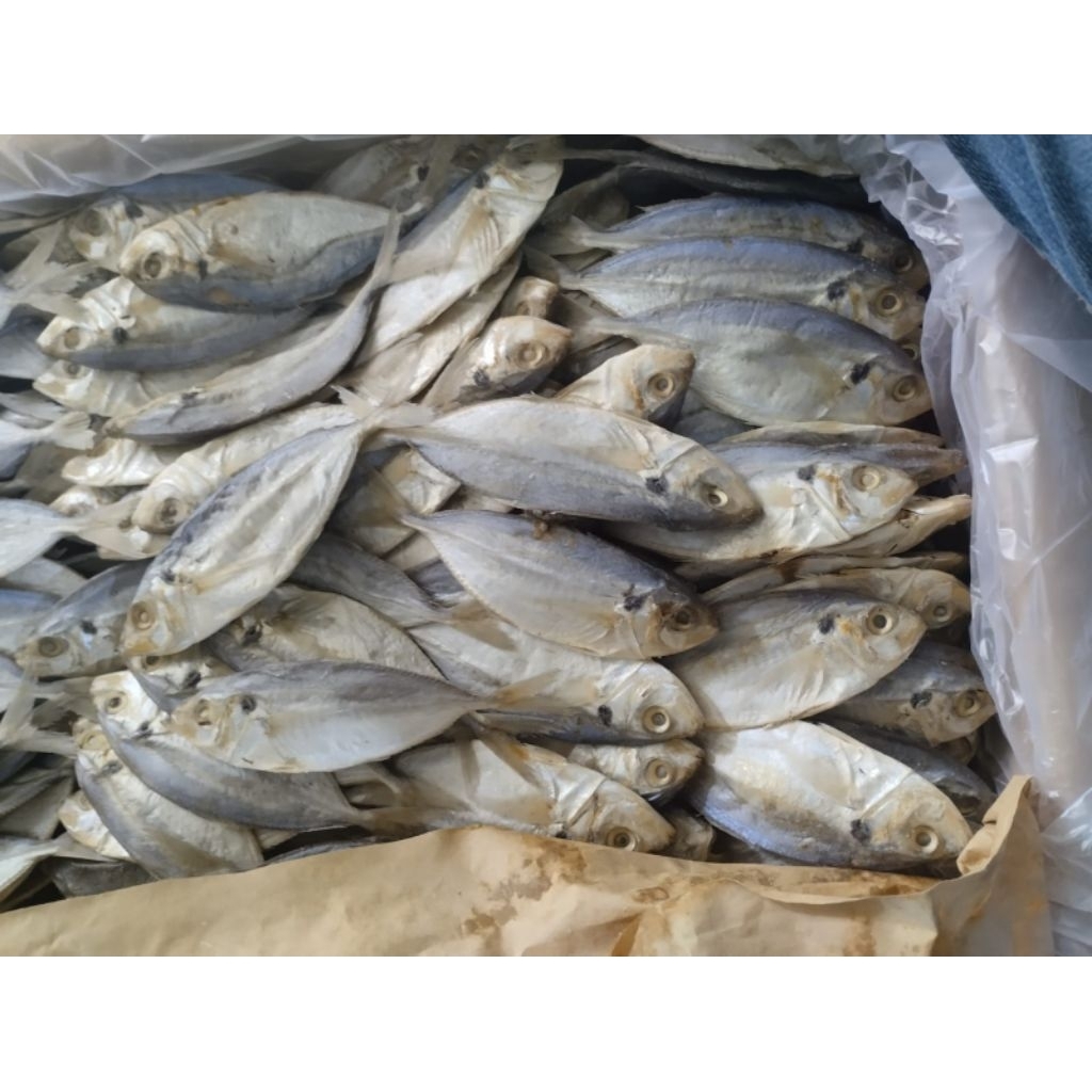 

Ikan Selar Kuning/Serba 5000