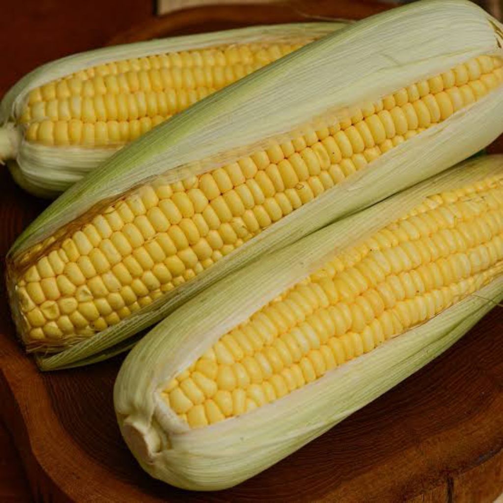 

Jagung Manis Fresh 1kg (Sayuran Segar)