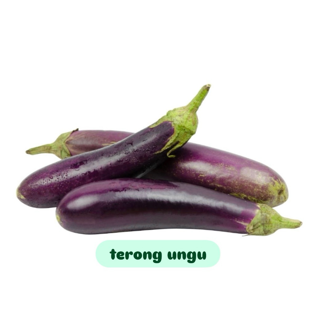 

Terong Ungu fresh 500gr-1kg