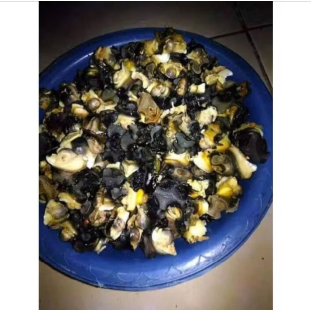 

keong mas tanpa cangkang 400gram