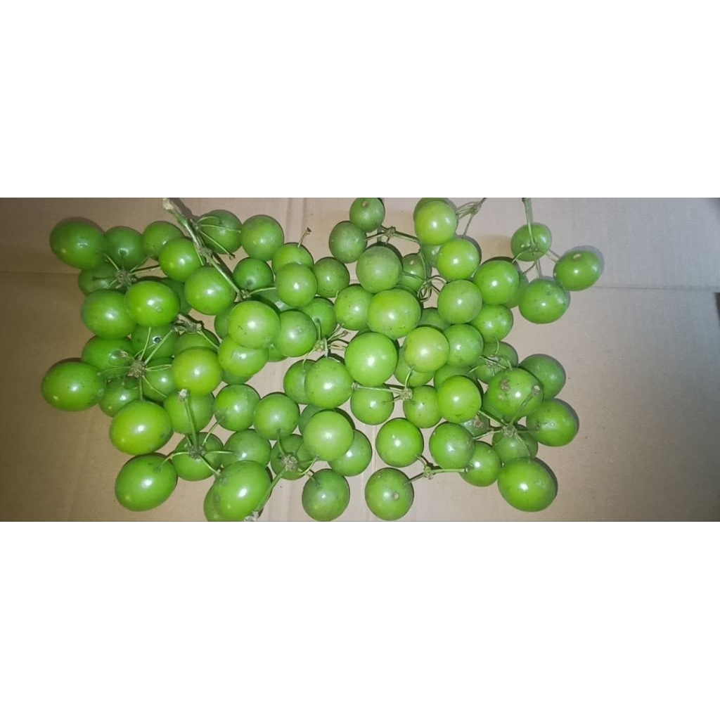 

buah canar anggur hutan .bogor./1kg