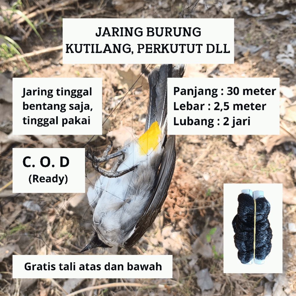 JEBAKAN BURUNG KUTILANG 30 METER JARING BURUNG PERKUTUT SIAP PAKAI JARING MONTANA