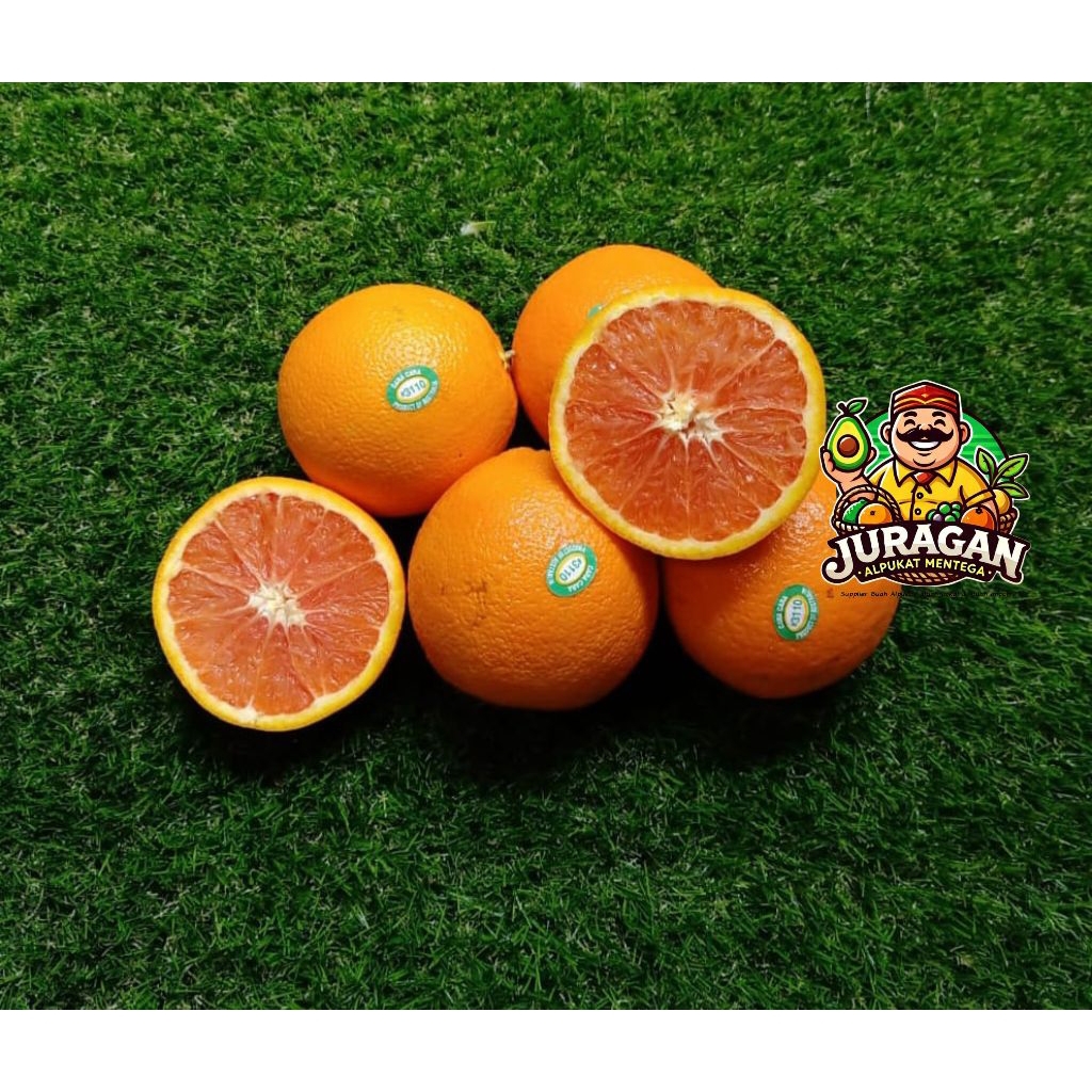 

Jeruk Cara Cara Fresh / Jeruk Caracara Fresh Import