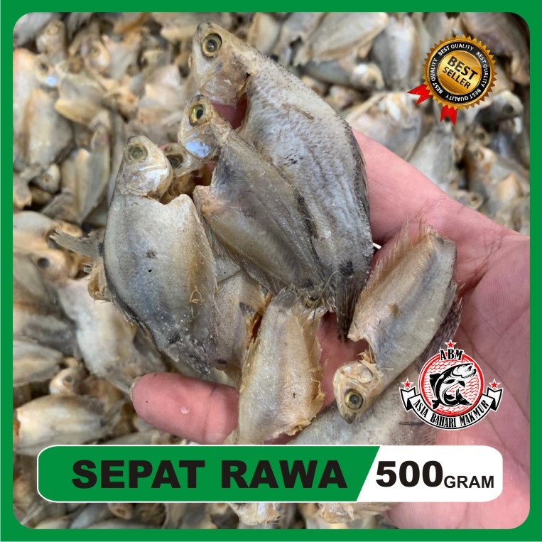 

Ikan Asin Sepat Rawa Super Premium 500 Gram