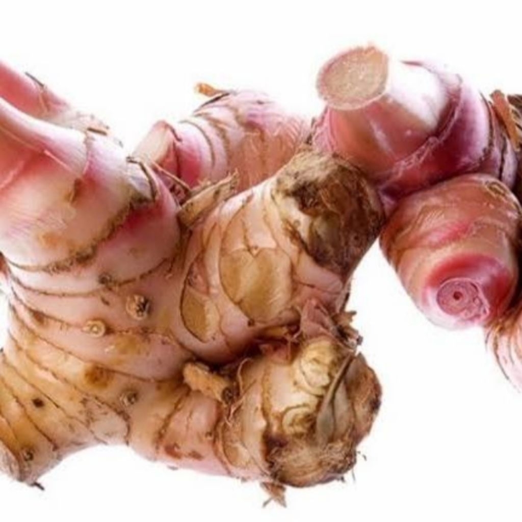 

1kg lengkuas/loas segar bersih