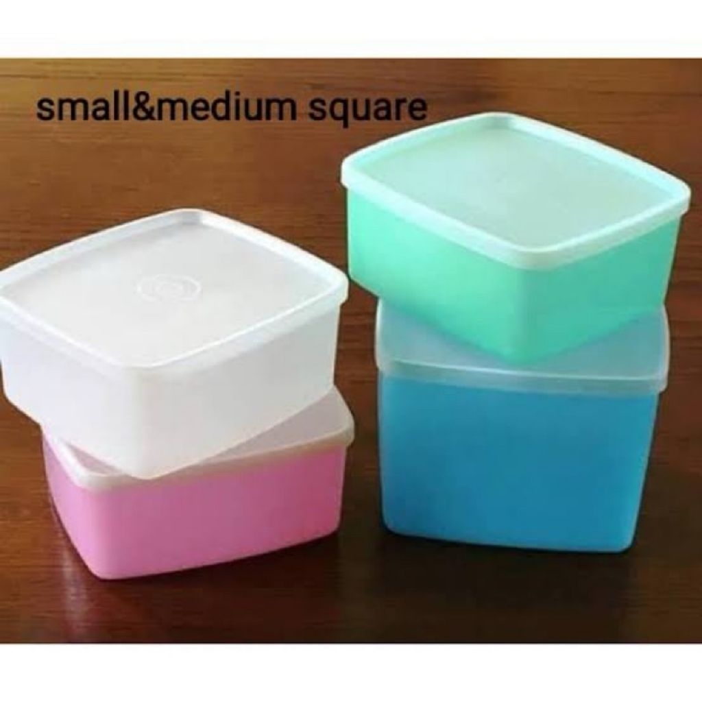 Small Summer / Square Tupperware