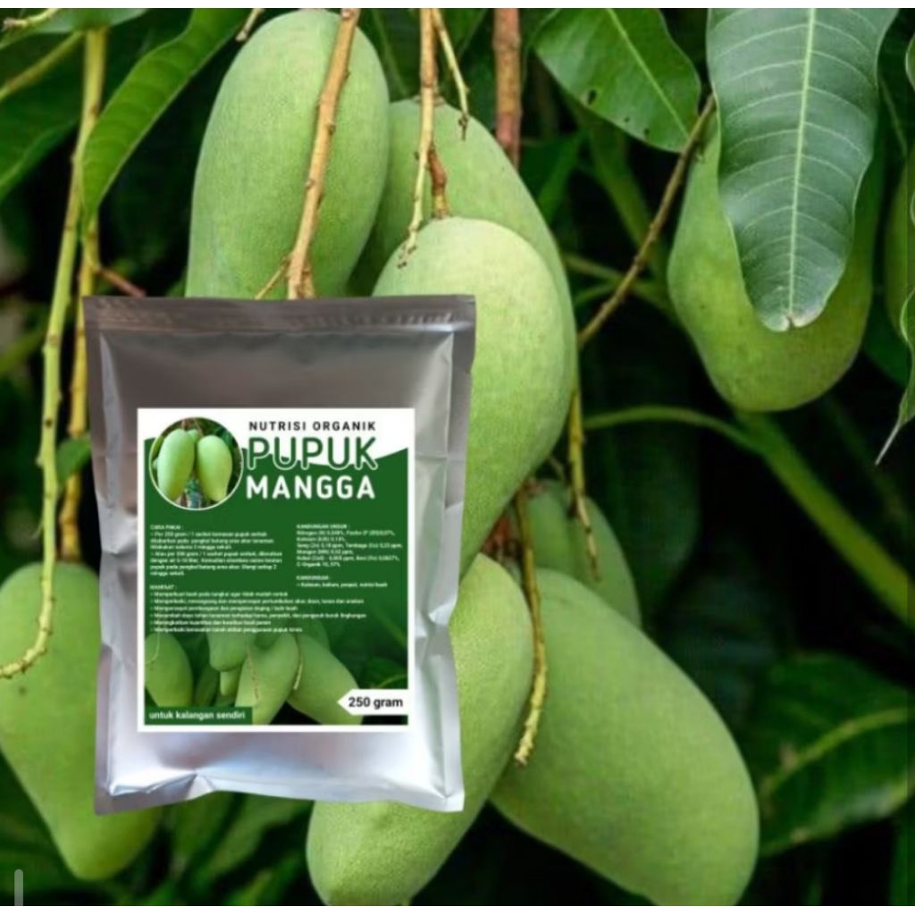 PUPUK NUTRISI BUAH  MANGGA | PUPUK ORGANIK NUTRISI BUAH  MANGGA