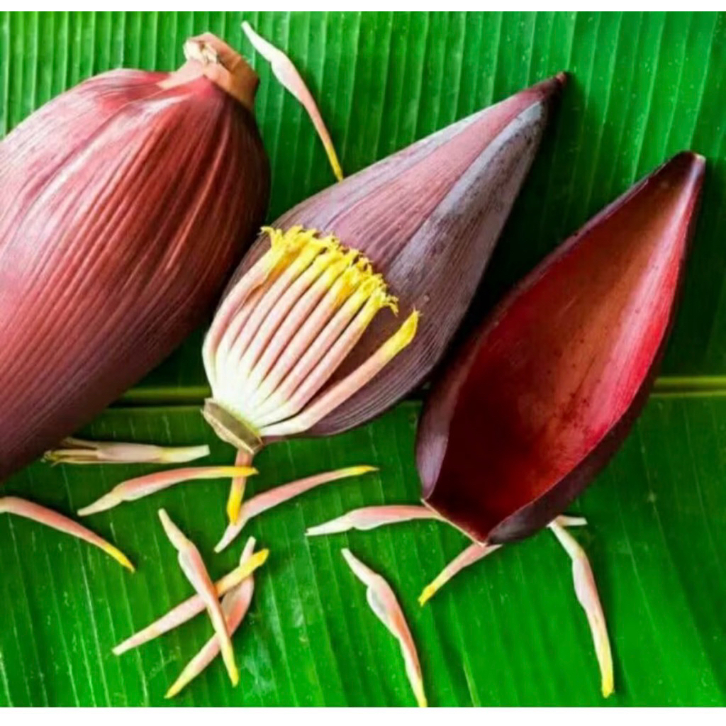 

jantung pisang,ontong pisang atau bunga pisang